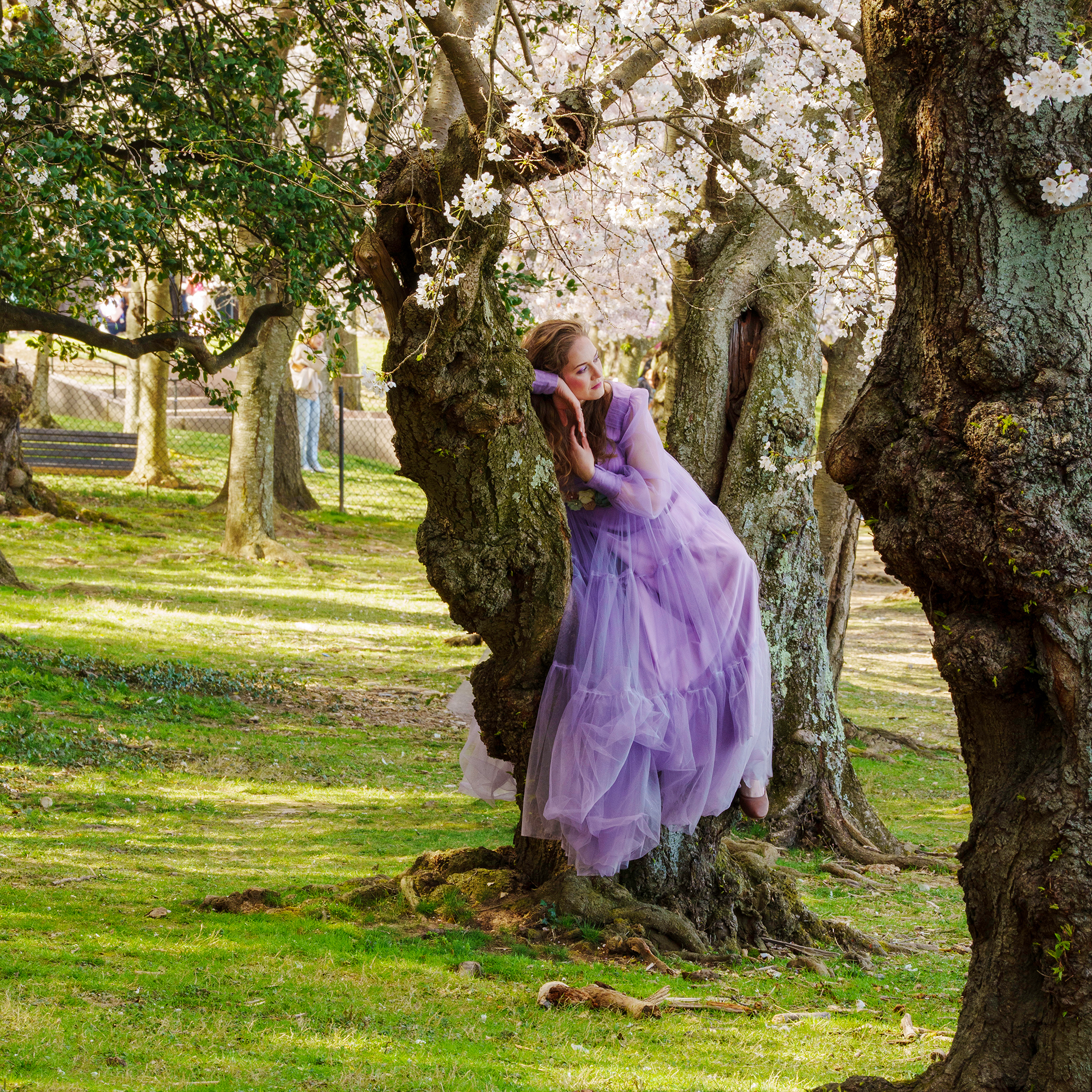 Girl In Tree